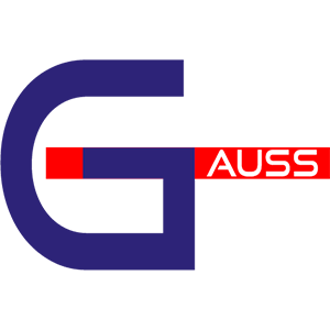 Gauss Italia Collaborazione Andrea Minute